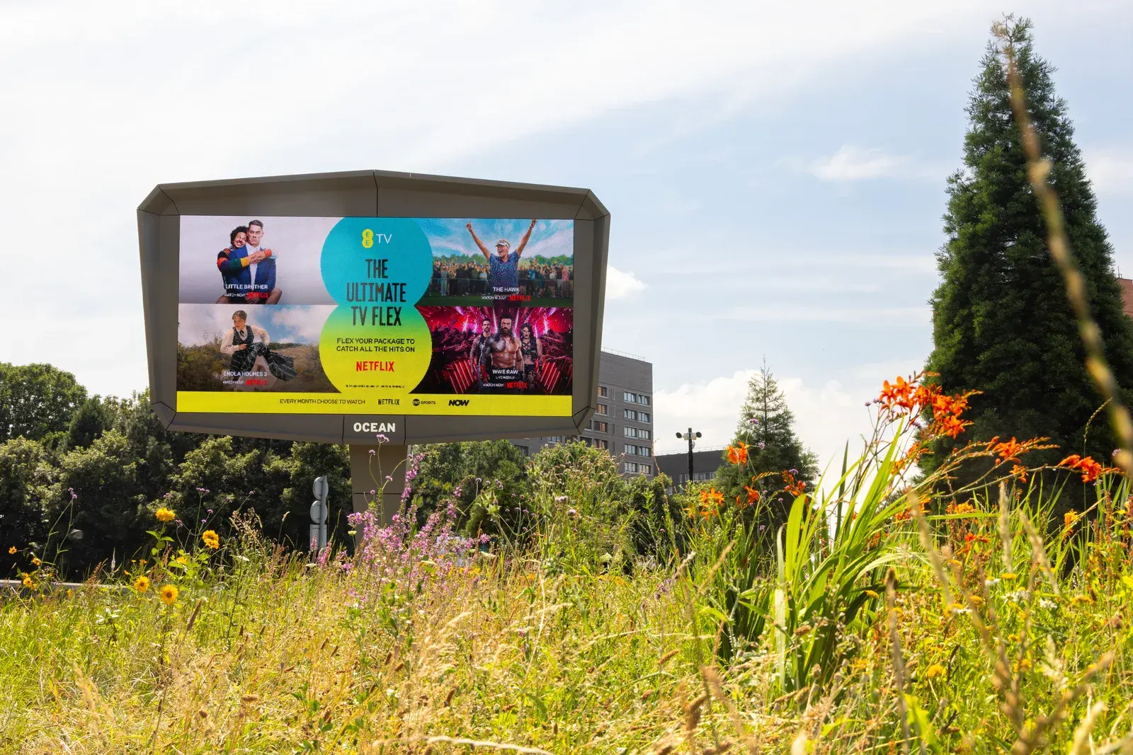 Ocean Outdoor Rewilds Manchester’s Chester Road Roundabout Around Its Advertising Screens